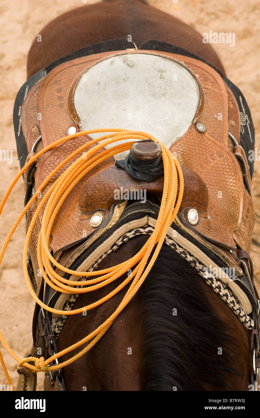 Une corde et selle sur un cheval à un rodéo Banque D'Images