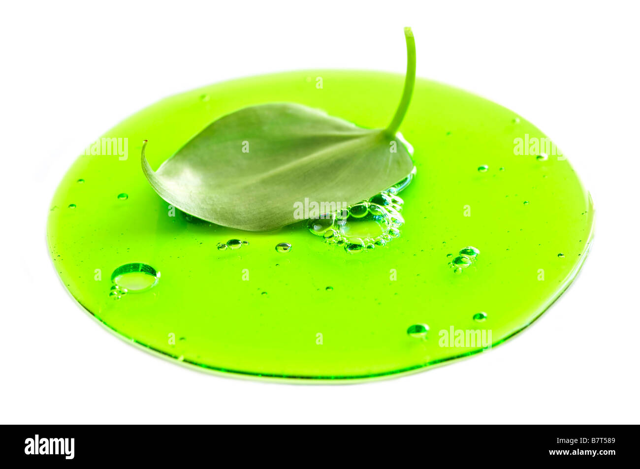 Image abstraite d'une plante à feuilles une flaque d'un liquide vert Banque D'Images