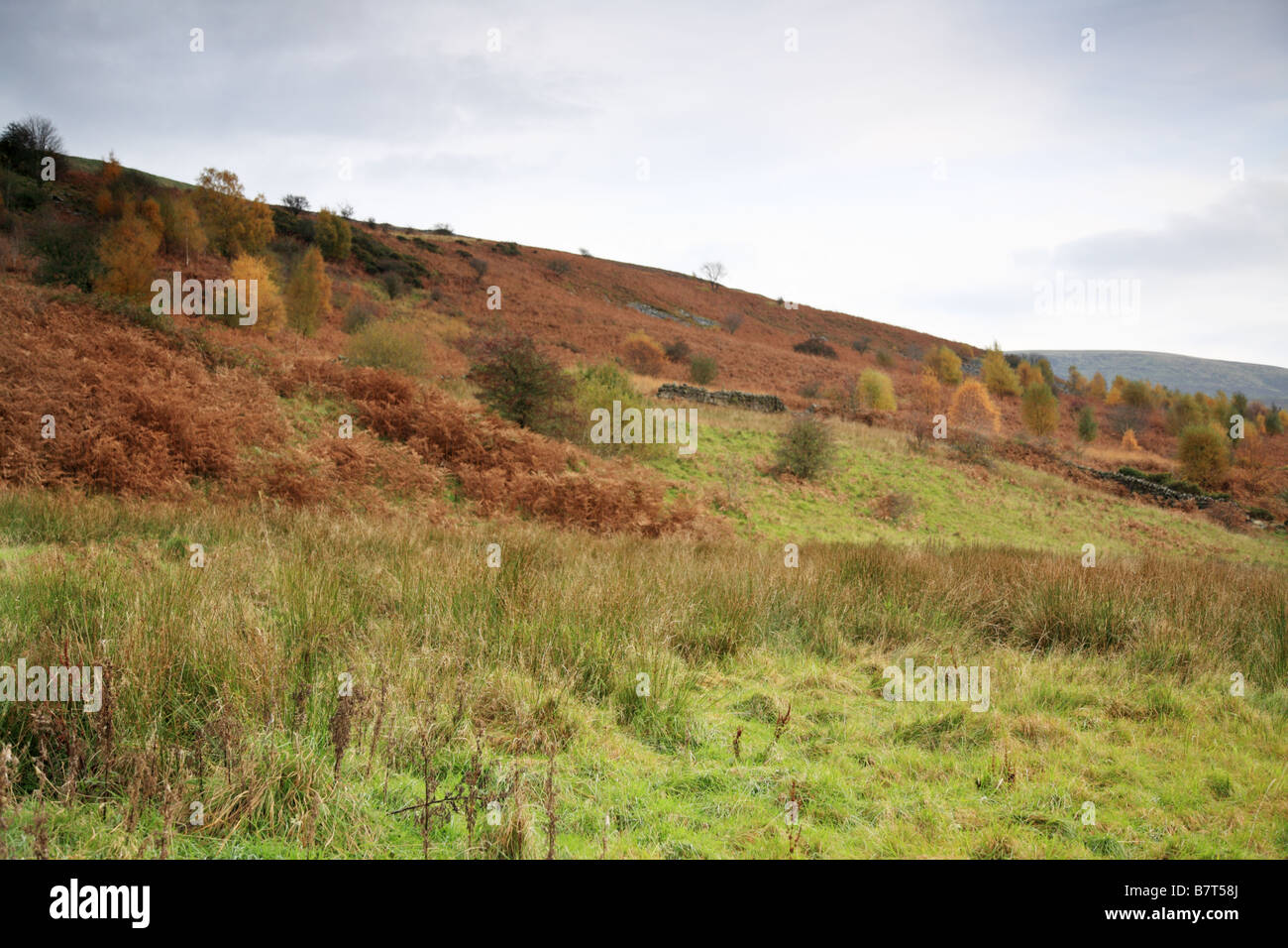 Campagne dans le Nord de l'Angleterre Cumbria UK Banque D'Images