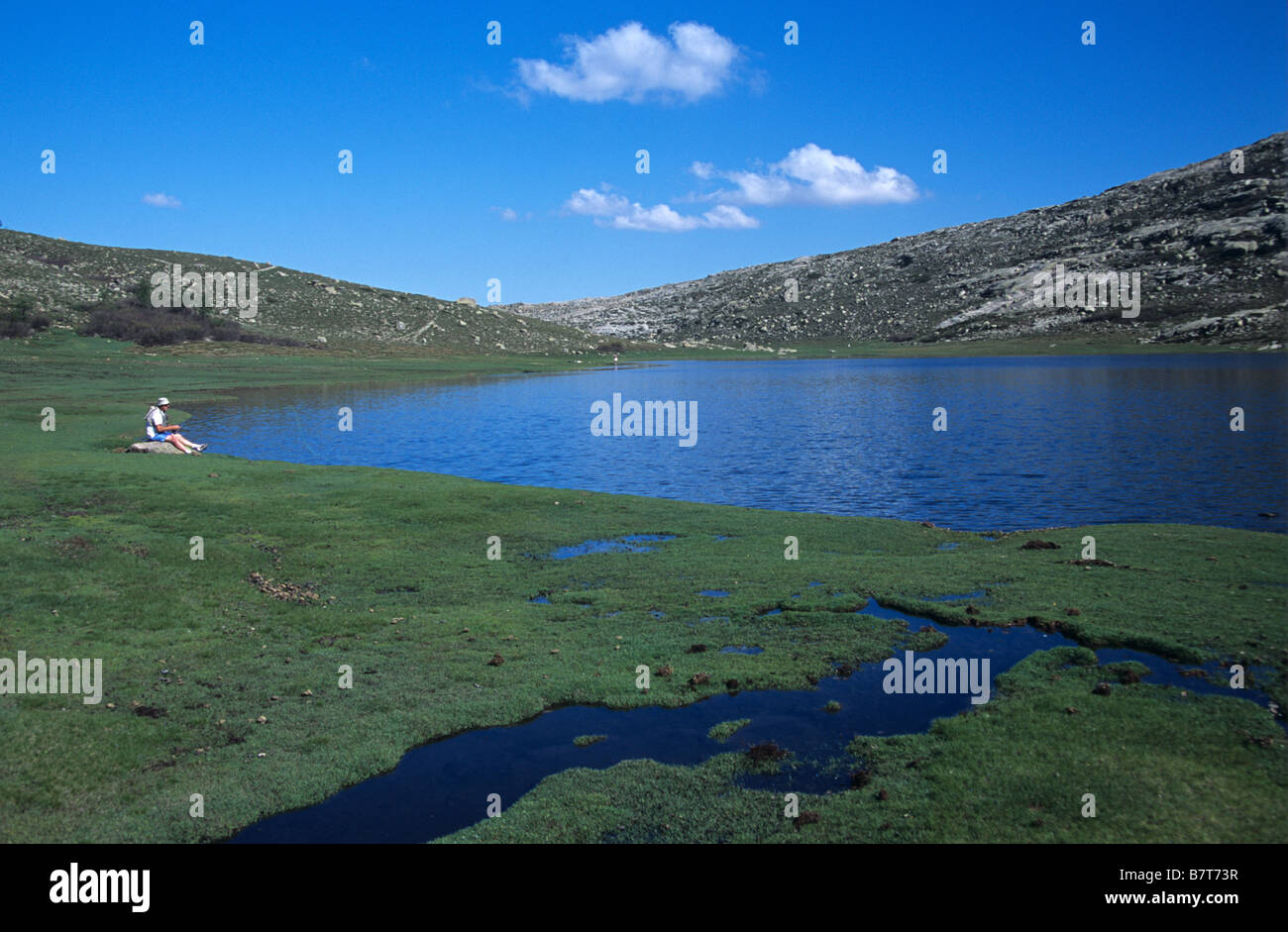 Le lac de Nino & Piscines Tourbe marécageuse appelée Pozzines ou Pozzi, Parc Naturel de Corse, réserve naturelle ou parc naturel, Corse, France Banque D'Images