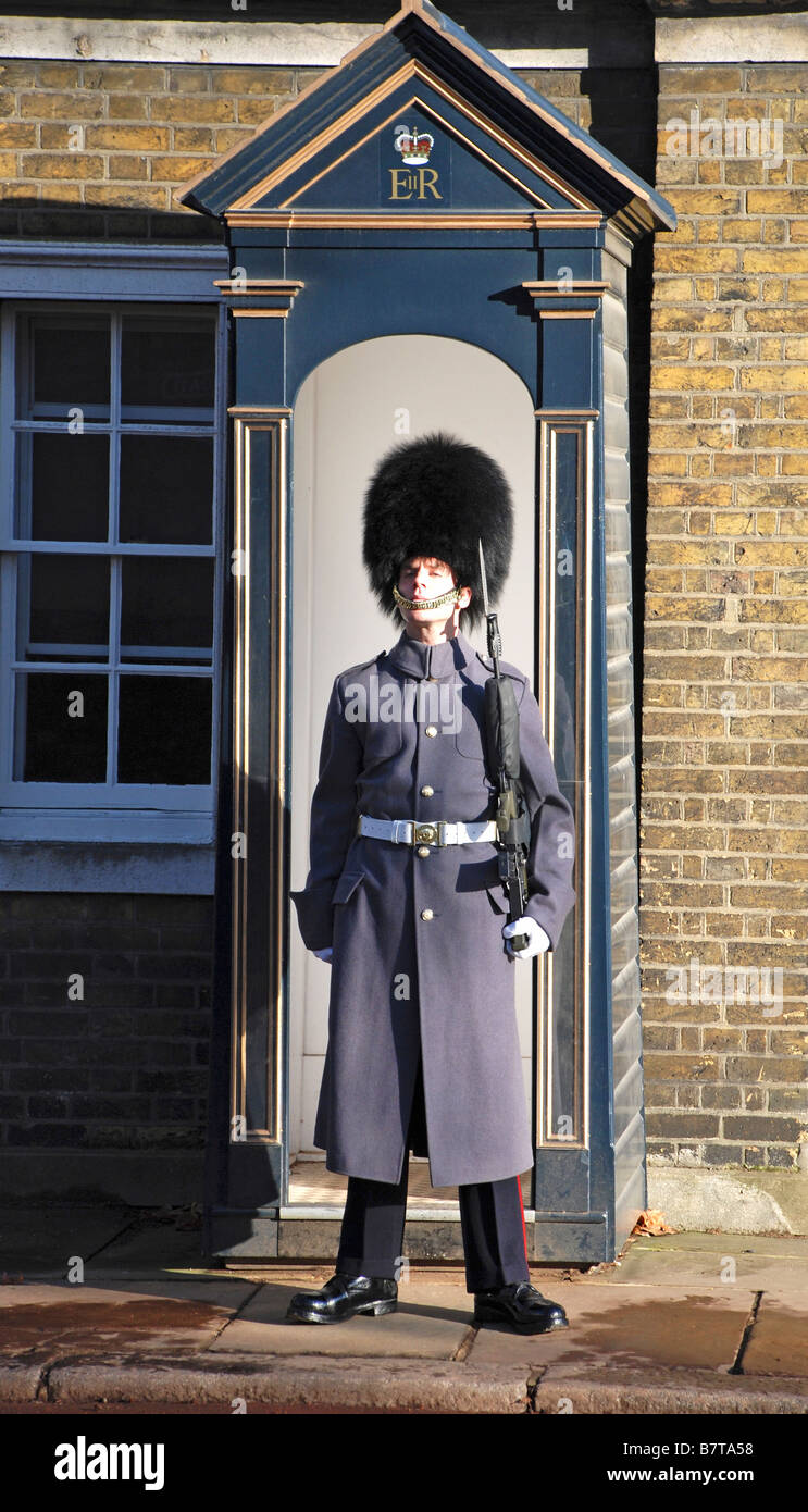 Guardsman Coldstream en service Banque D'Images