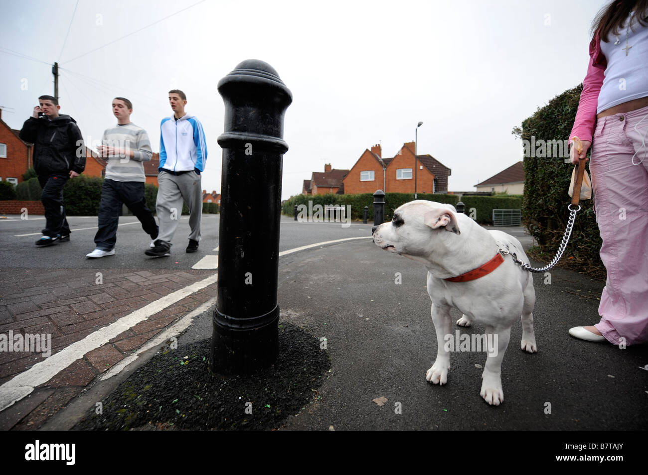 Les jeunes AVEC UN Staffordshire Bull Terrier DANS LE DISTRICT DE BRISTOL SOUTHMEAD UK Banque D'Images