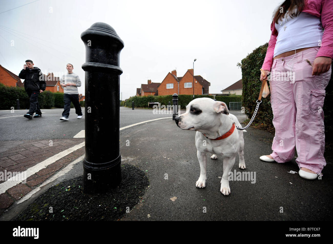 Les jeunes AVEC UN Staffordshire Bull Terrier DANS LE DISTRICT DE BRISTOL SOUTHMEAD UK Banque D'Images