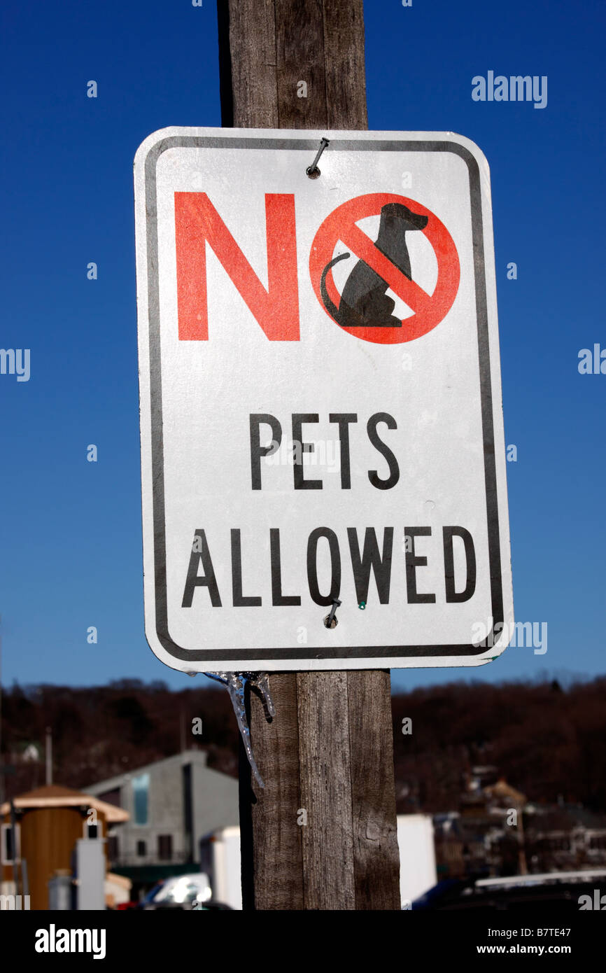 Les animaux domestiques ne sont pas admis signe, Long Island, New York Banque D'Images