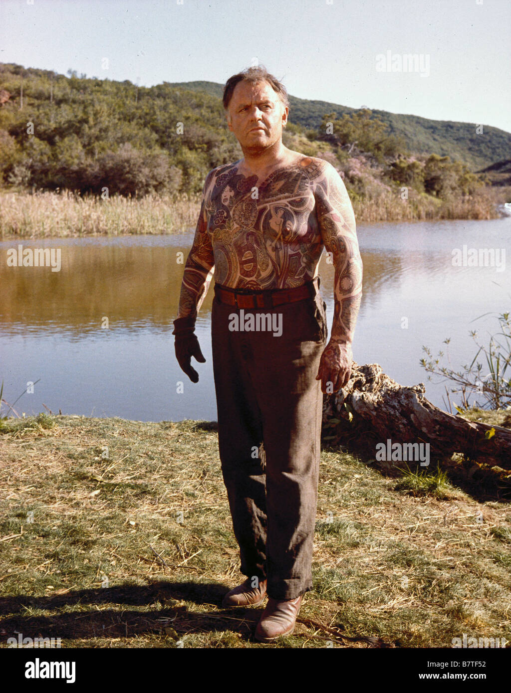 L'Homme tatoué illustrated man Année : 1968 USA Rod Steiger Réalisateur : Jack Smight Banque D'Images