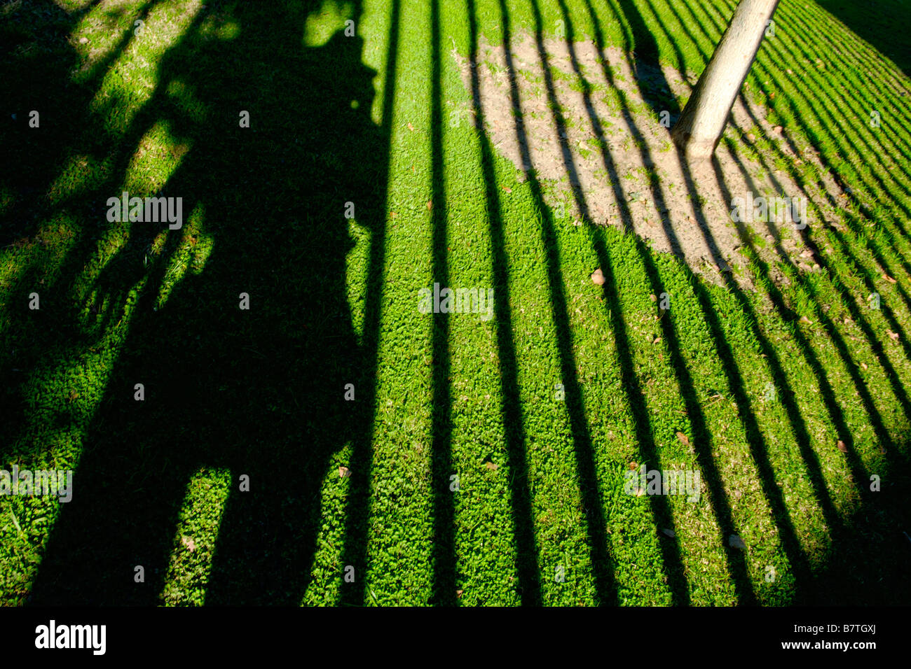 Ombre de personne ou d'une clôture sur l'herbe Banque D'Images