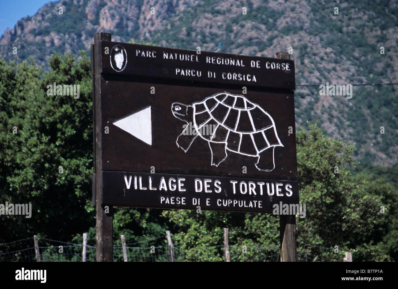 Village des tortues Signe, village des Tortues, Moltifao, Parc Naturel de Corse, réserve naturelle et Parc Régional, Corse, France Banque D'Images