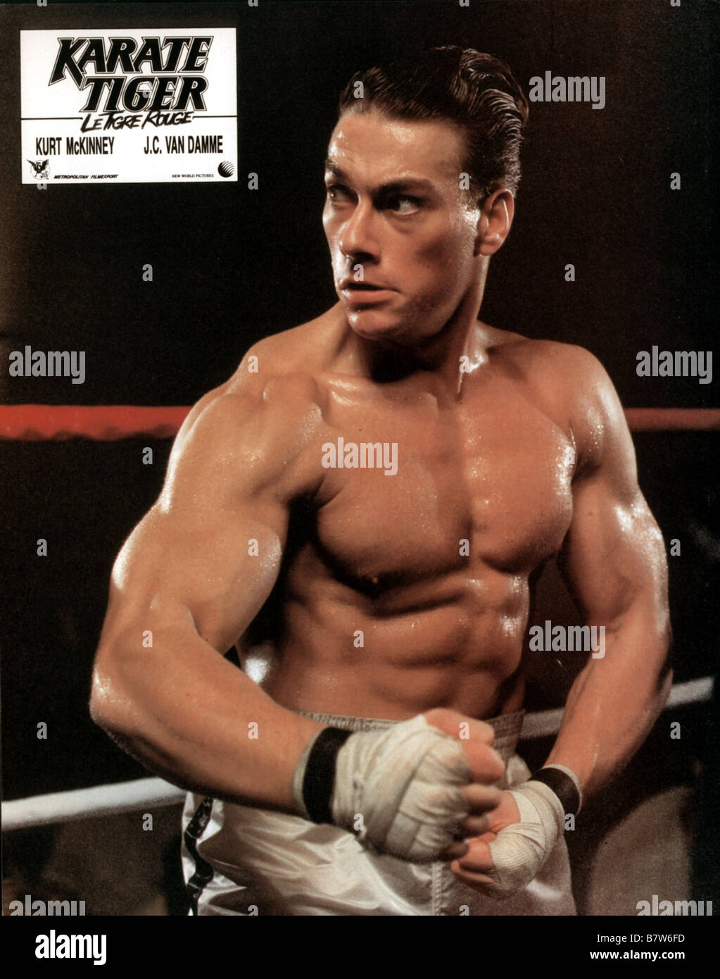Karate Tiger No Retreat, No Surrender Année : 1985 USA Jean-Claude Van Damme  Réalisateur : Corey Yuen Photo Stock - Alamy