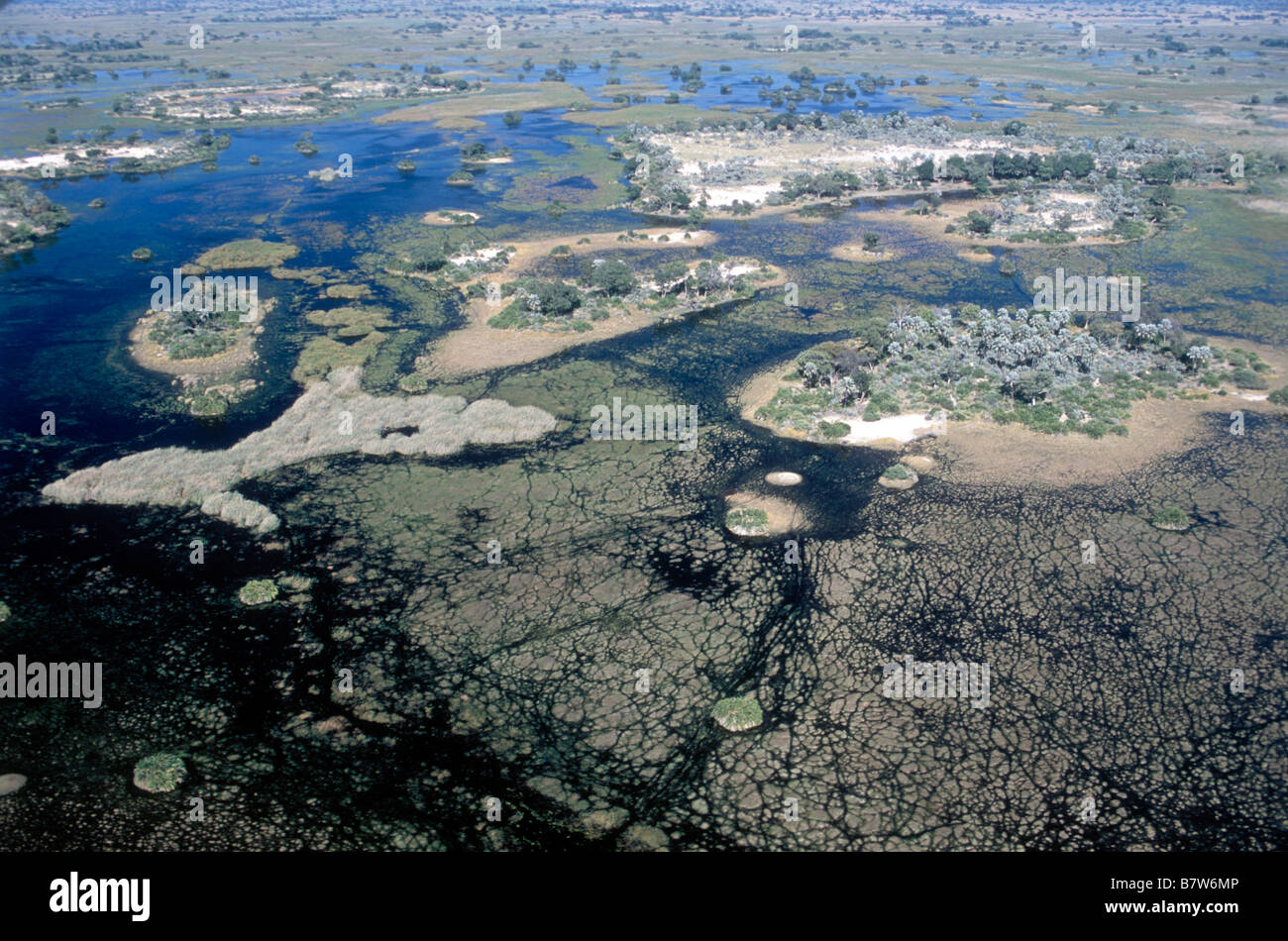 Vue aérienne de îles dans le Delta de l'Okavango Banque D'Images