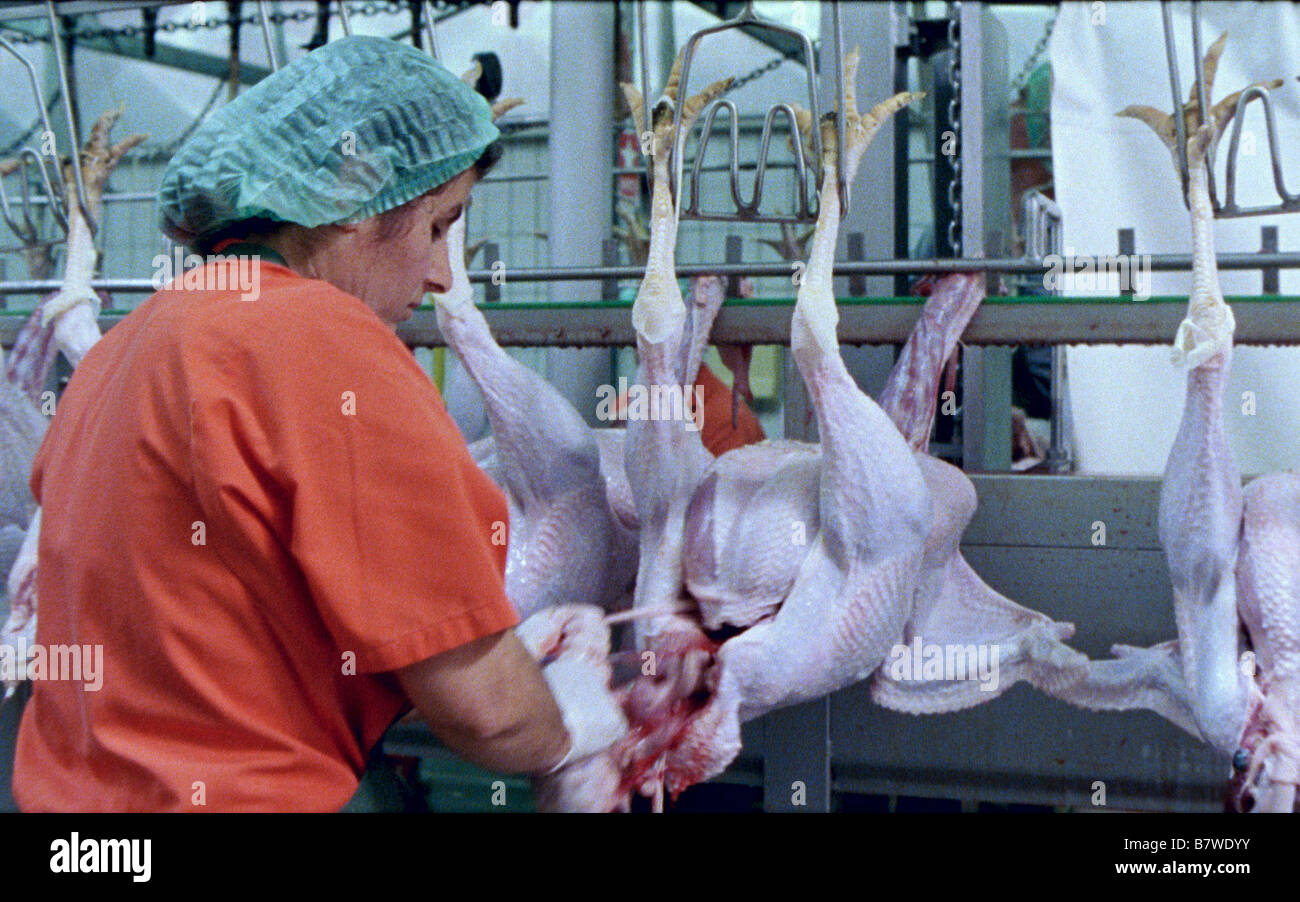 Lutte Lutte Année : 2003 - Autriche Directeur : Ruth Mader Autriche 2003 Banque D'Images