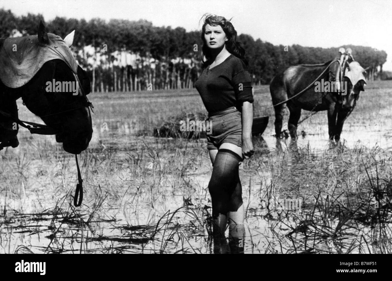 Silvana mangano bitter rice 1949 Banque de photographies et d’images