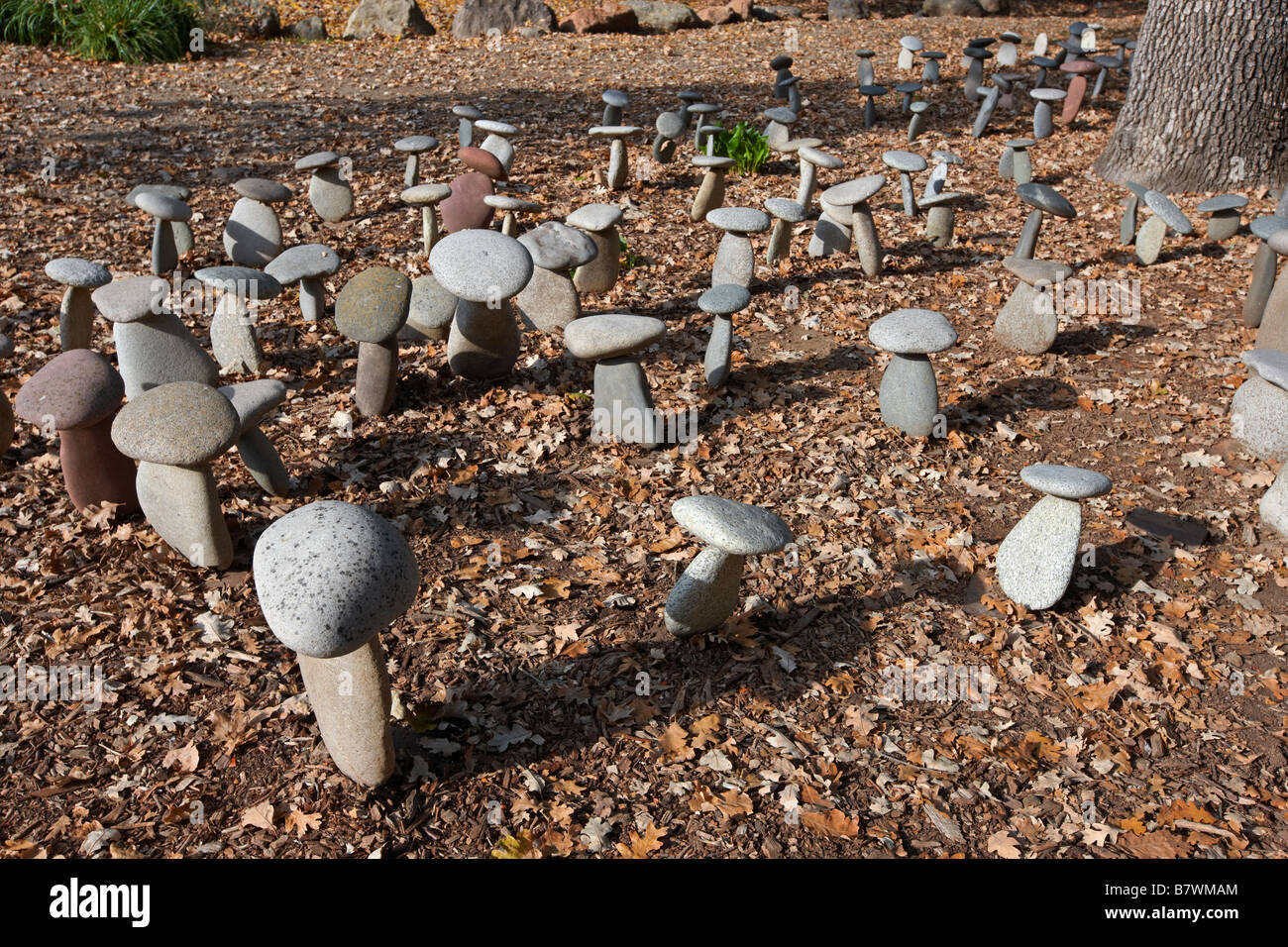 L'installation de champignons en pierre au Domaine Chandon winery. Napa Valley, Californie, USA. Banque D'Images