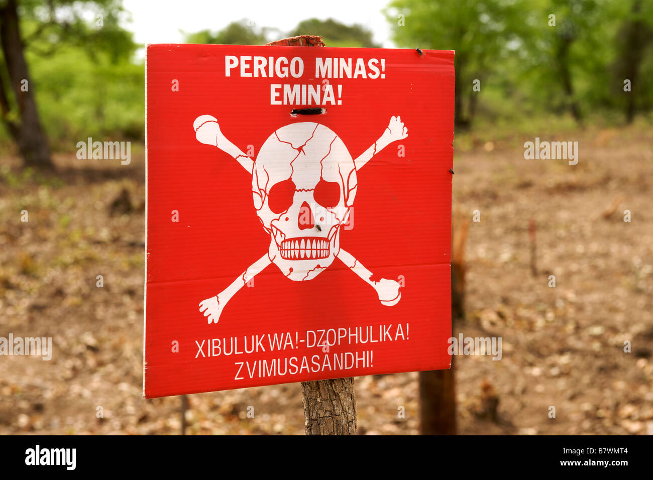 Tête de mort et de "danger des mines" en portugais et d'avertissement sur un panneau Shangaan au bord d'un champ de mines au Mozambique. Banque D'Images Tête de mort et de "danger des mines" en portugais et d'avertissement sur un panneau Shangaan au bord d'un champ de mines au Mozambique. Banque D'Images