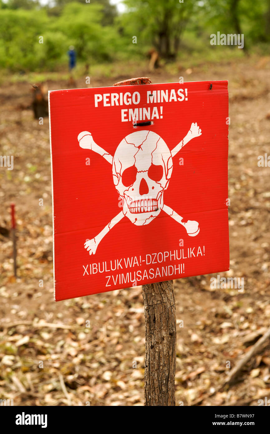 Tête de mort et de "danger des mines" en portugais et d'avertissement sur un panneau Shangaan au bord d'un champ de mines au Mozambique. Banque D'Images