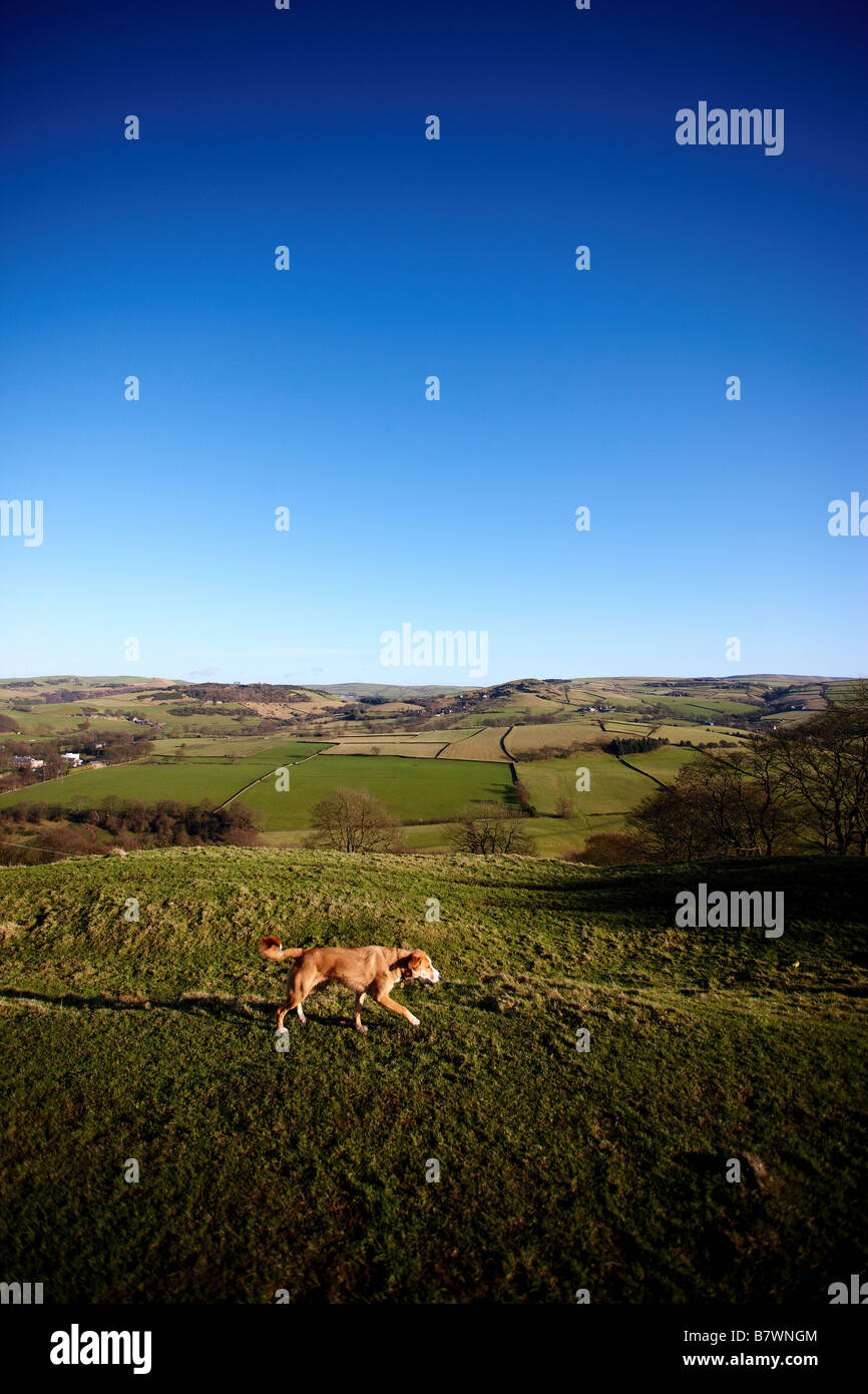 Campagne du Cheshire Banque D'Images