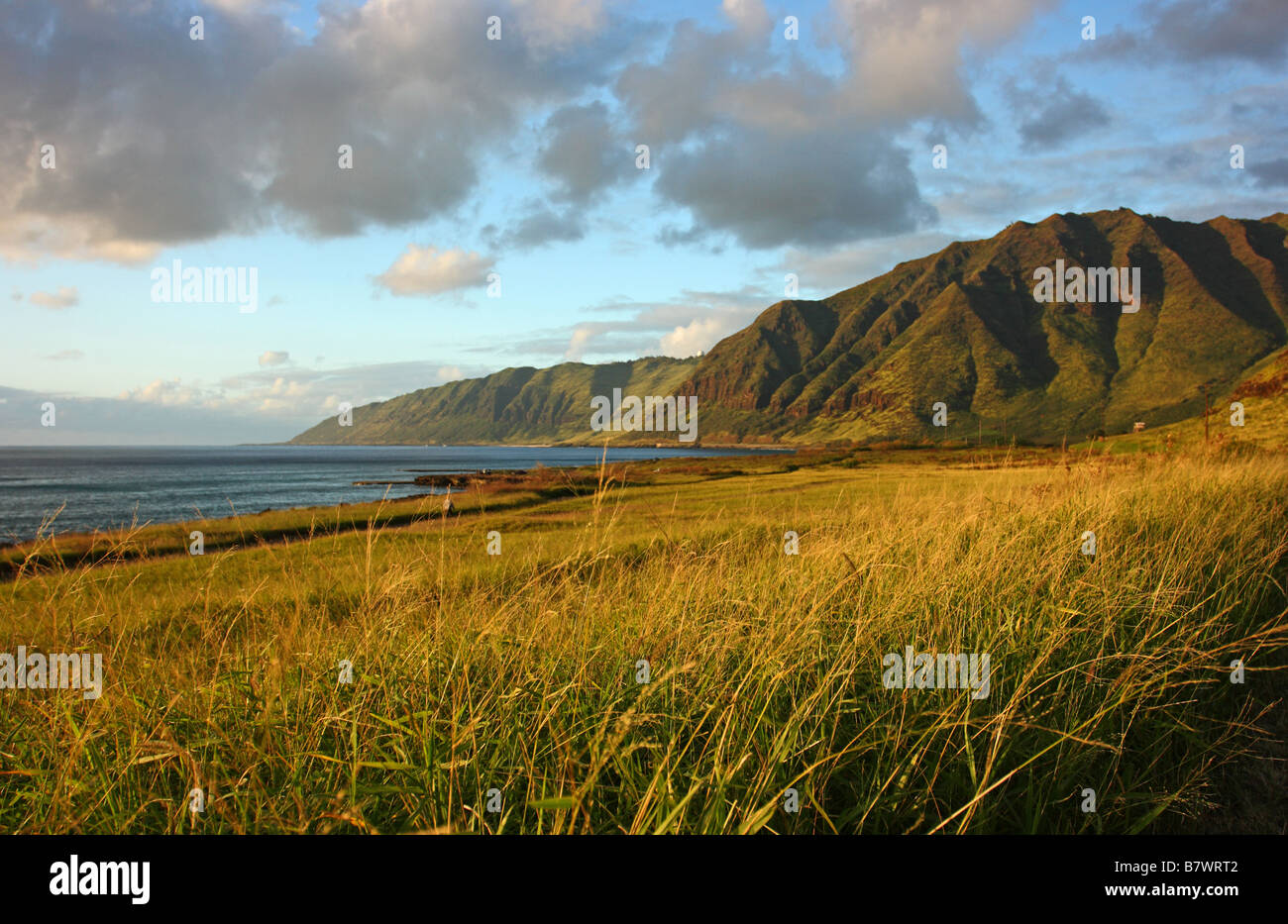 La Baie de Yokohama (Keawaula) Plage, à la fin de la route sur Oahu, côté ouest. New York USA Banque D'Images