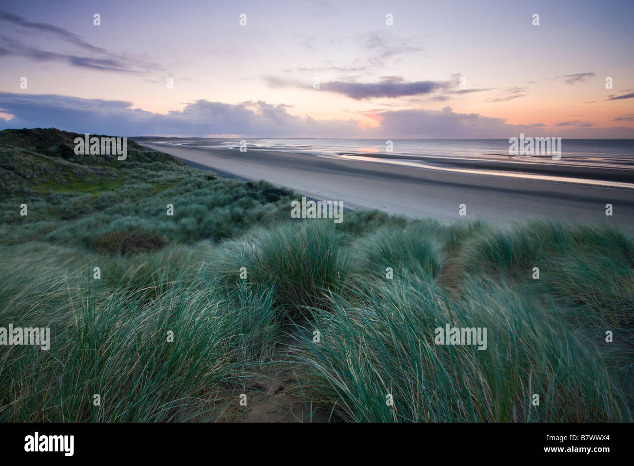 Dunes de sable de Murlough réserve naturelle avec des vues sur la baie de Dundrum Le comté de Down en Irlande du Nord Banque D'Images