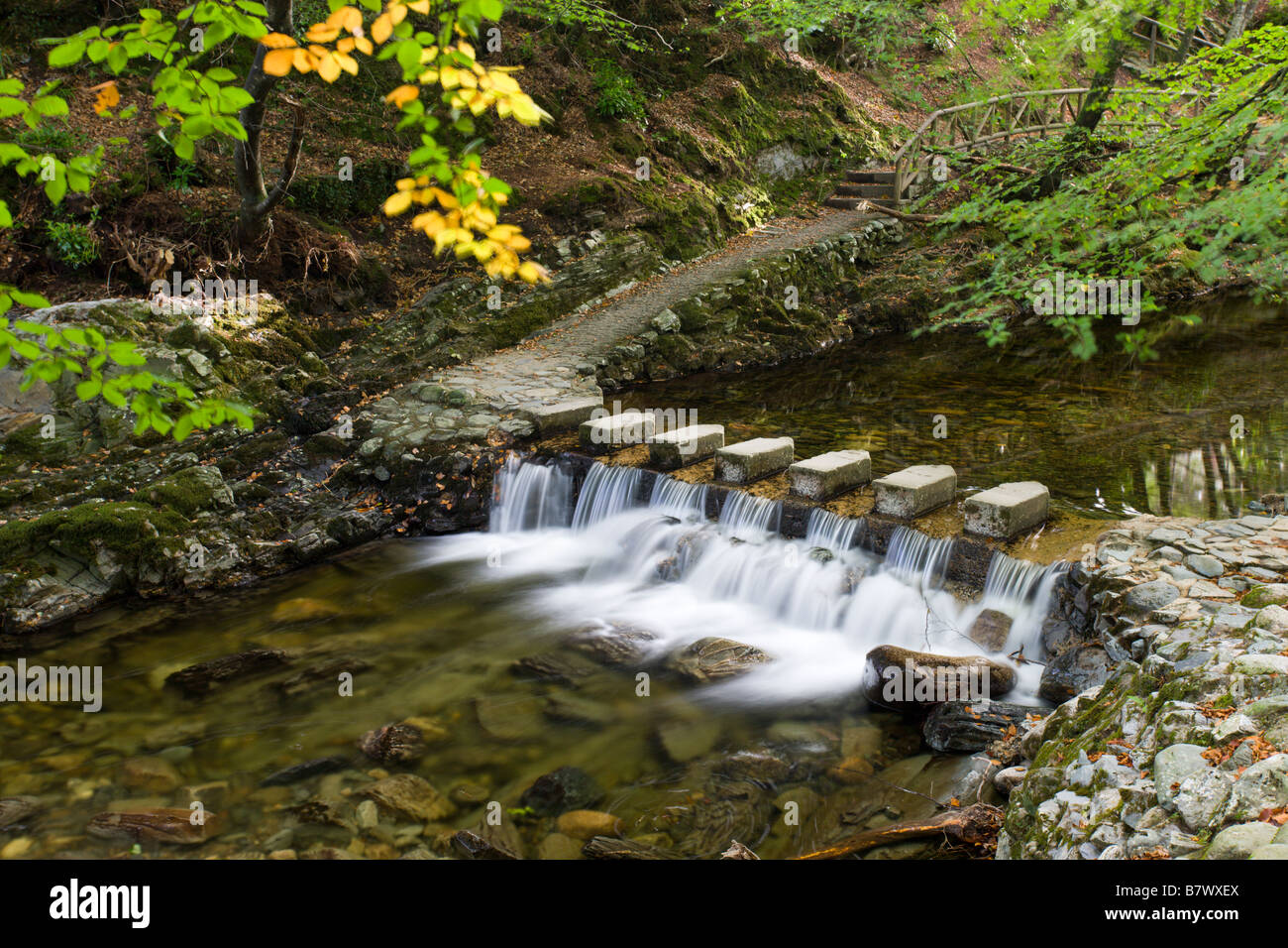 Stepping Stones pour traverser un ruisseau en cascade dans Tollymore Forest Park comté de Down en Irlande du Nord Banque D'Images