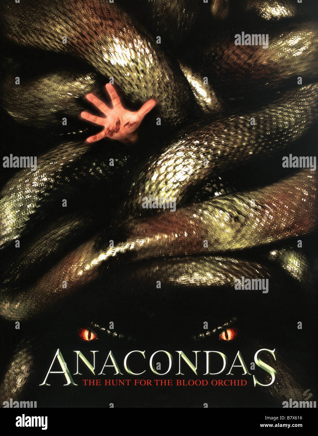 Anacondas, a la poursuite de l'orchidee de sang anacondas, la chasse à l'orchidée de sang Année : 2003 USA affiche, poster Réalisateur : Dwight H. Little Banque D'Images