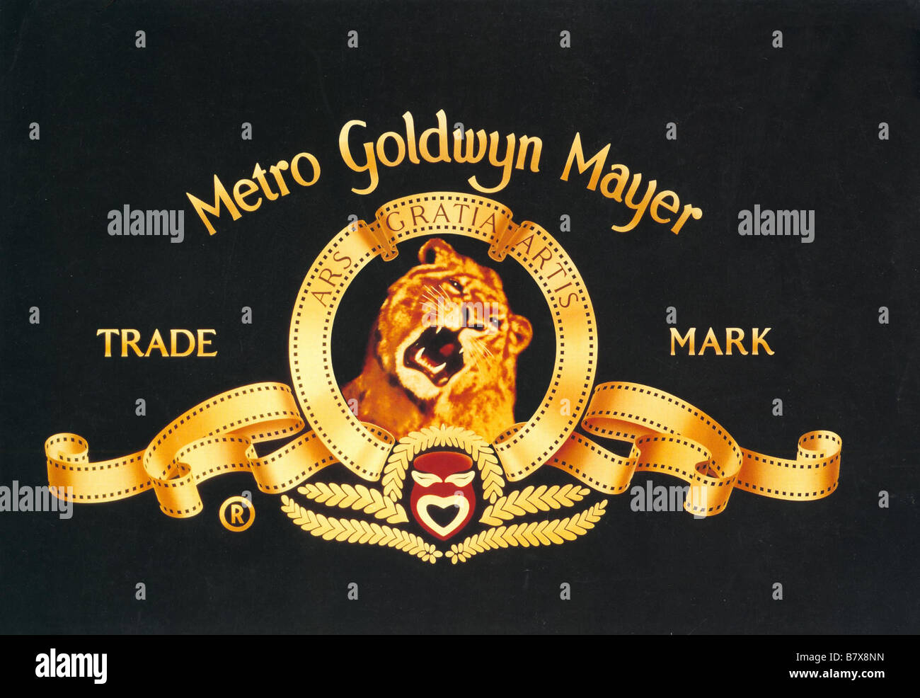 metro goldwyn mayer lion vector clipart