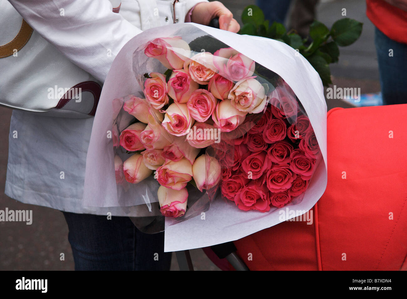 Bouquet de roses rouges enveloppées dans du papier de soie Photo Stock -  Alamy