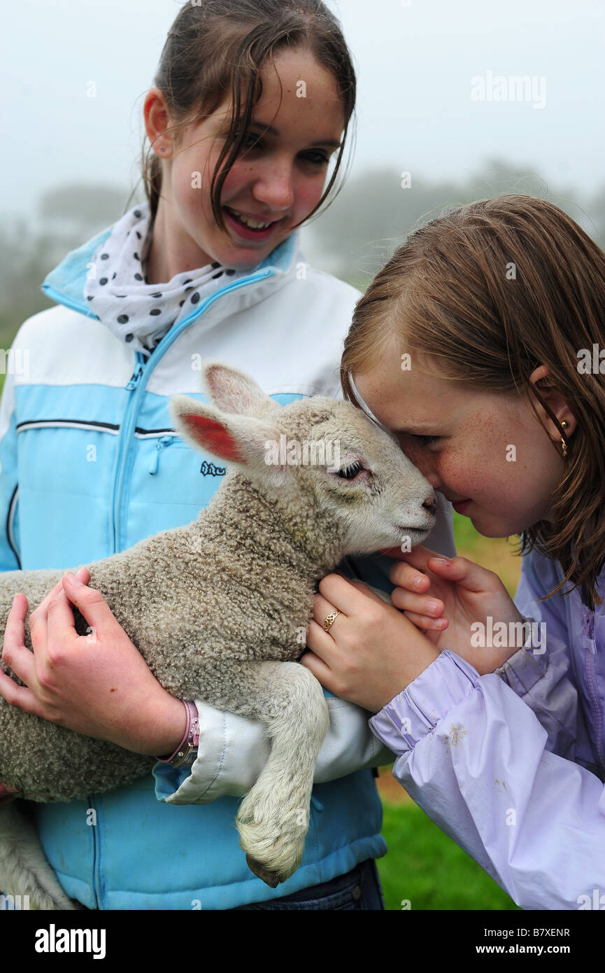 Deux enfants sur une visite à une exploitation agricole d'un agneau Banque D'Images