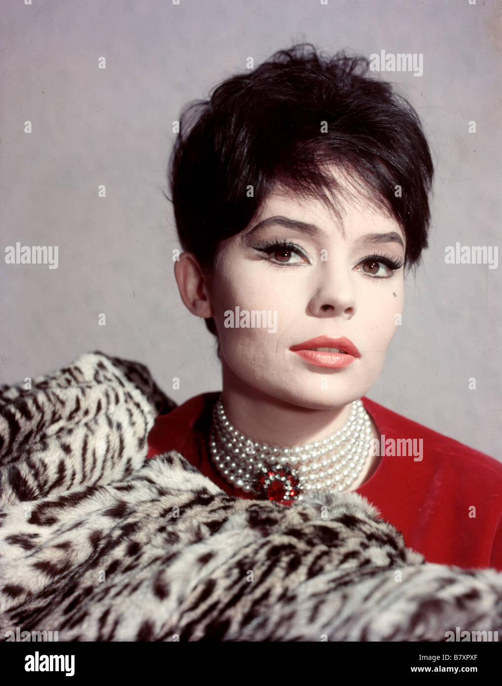 Pascale Petit Pascale Petit Pascale Petit Banque D'Images