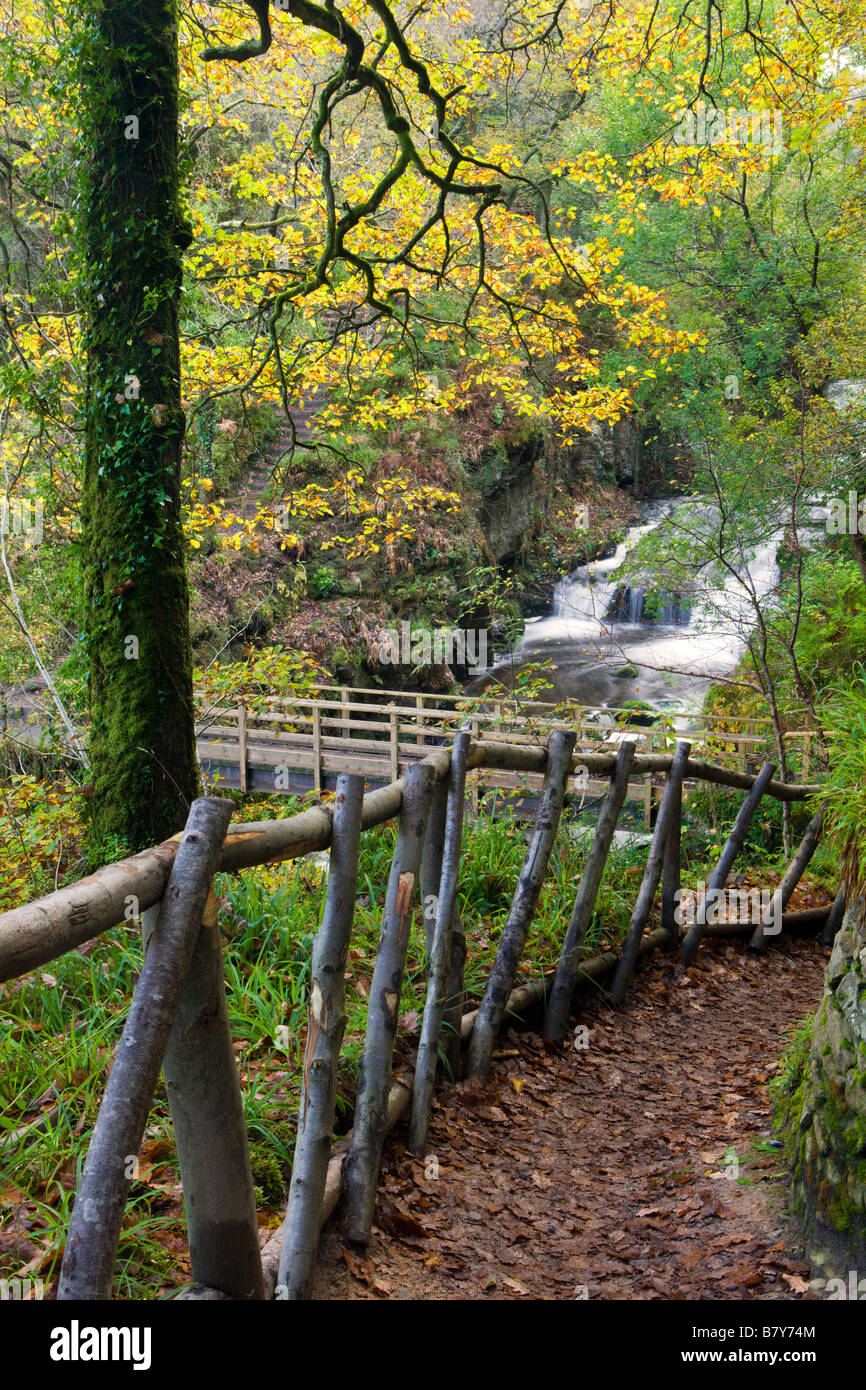 Sentier menant vers le bas à travers les arbres d'automne à chêne à Watersmeet givre de l'eau Parc National d'Exmoor Devon, Angleterre Banque D'Images