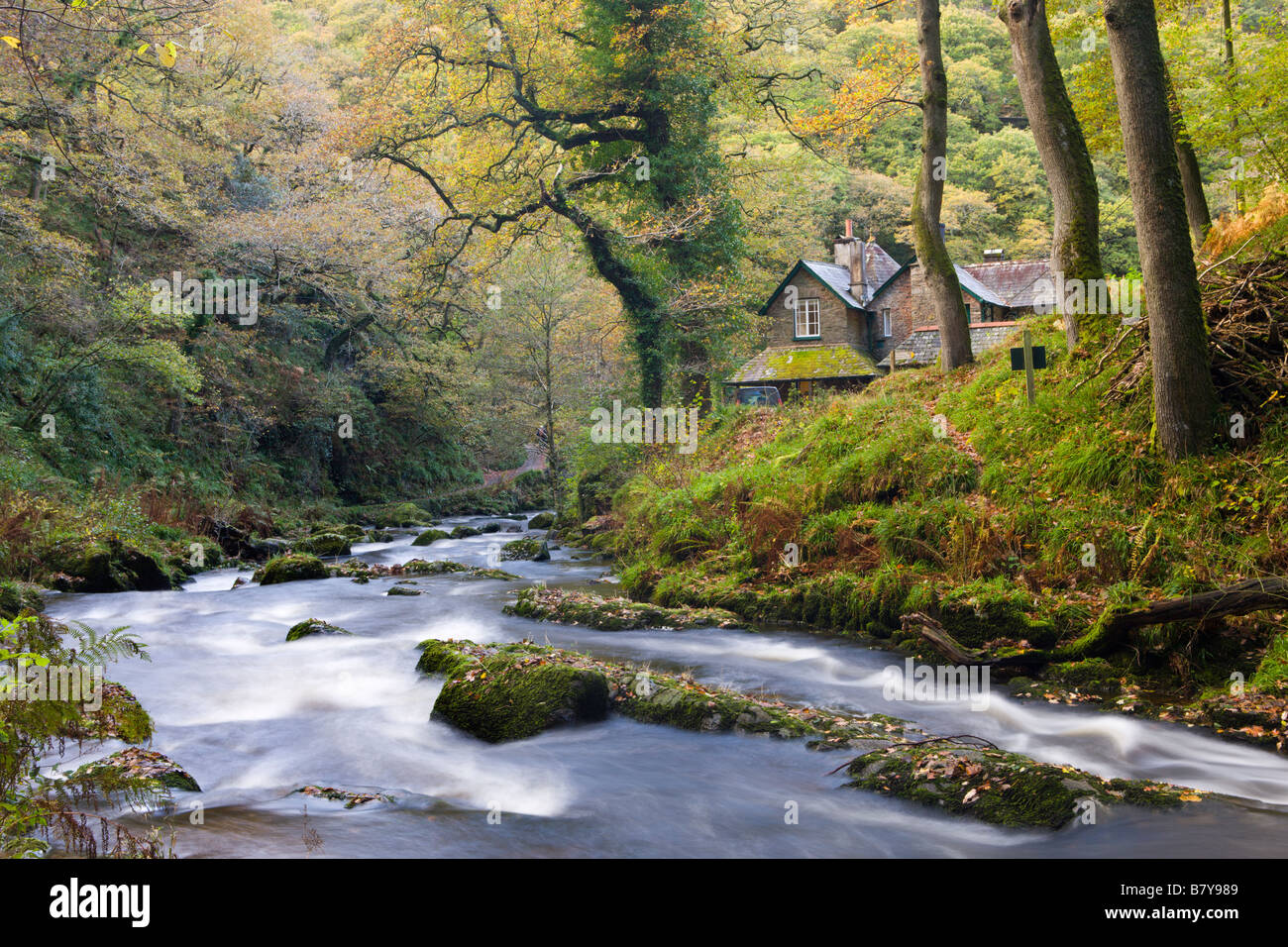 Watersmeet en automne Parc National d'Exmoor Devon, Angleterre Banque D'Images
