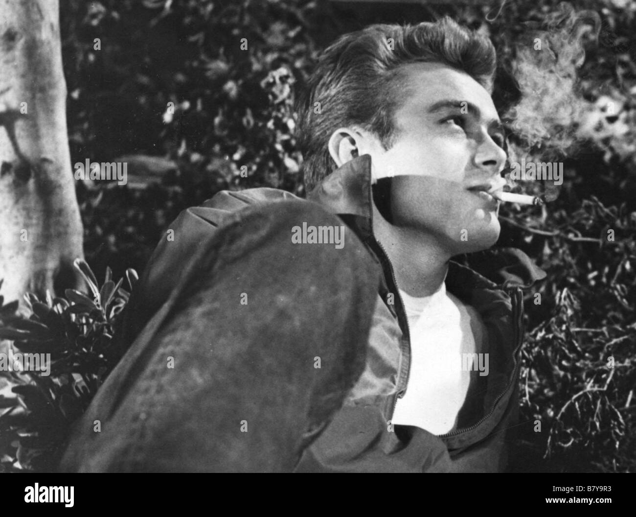 Rebel without a Cause Année : 1955 USA James Dean, Directeur : Nicholas Ray Banque D'Images