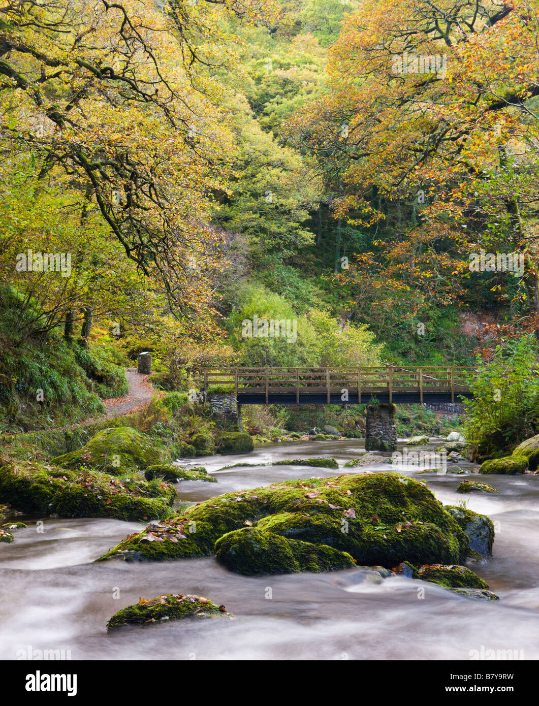 East Lyn se précipite entre les rochers moussus à Watersmeet en automne Parc National d'Exmoor Devon, Angleterre Banque D'Images