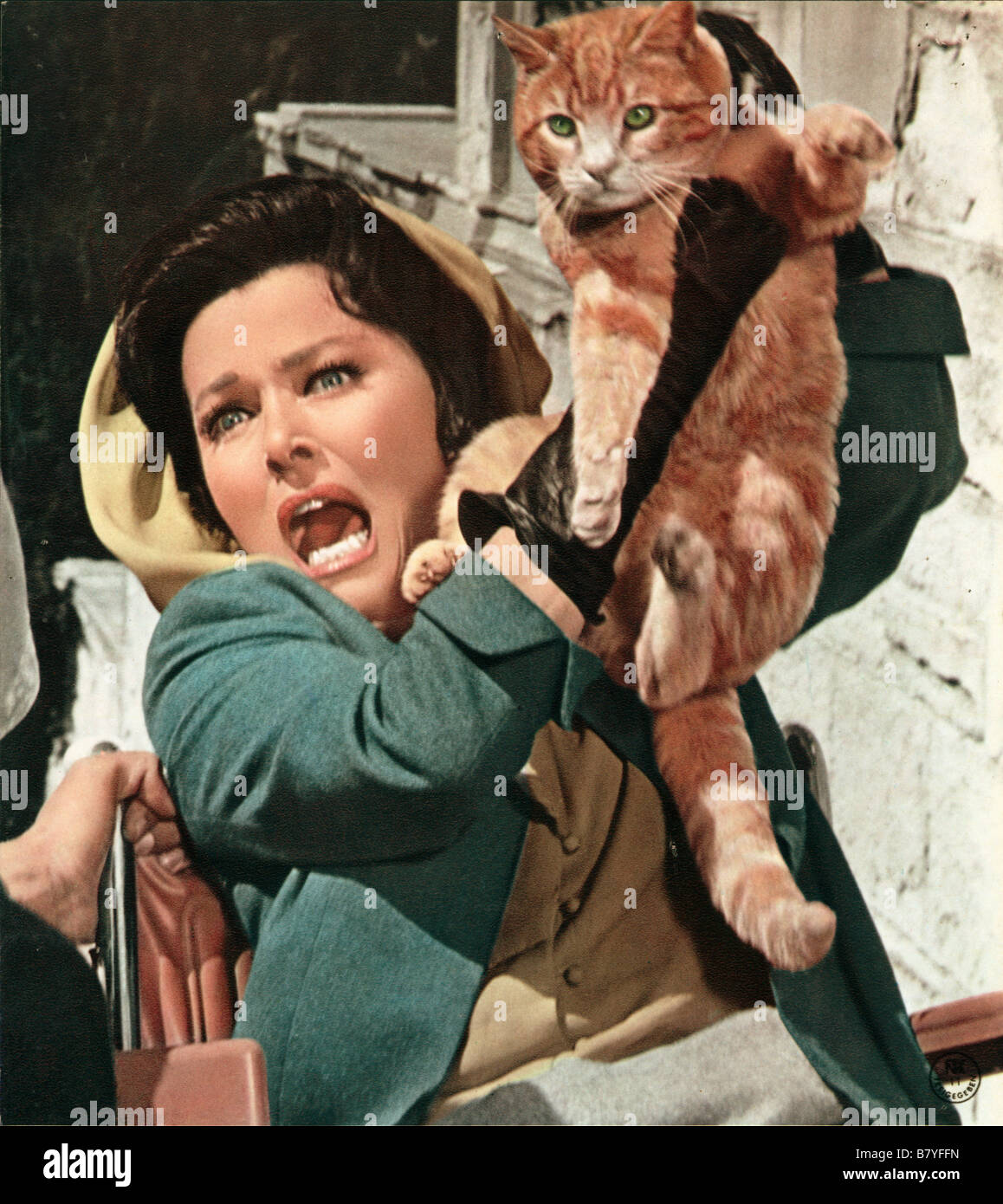 Les griffes de la peur de l'oeil le Chat Année : 1969 USA Eleanor Parker Directeur : David Lowell Rich Banque D'Images