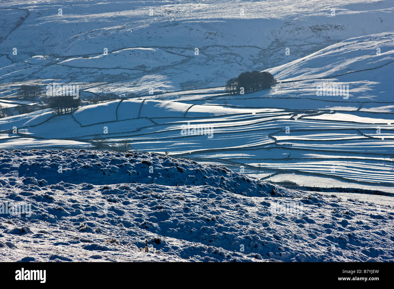 Colline couverte de neige, la région de Wharfedale, Yorkshire UK Banque D'Images