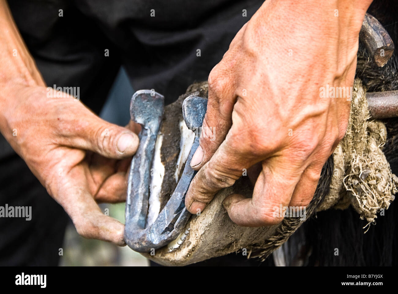 Mettre un forgeron au marché des animaux cheval Karakol Kirghizistan Banque D'Images