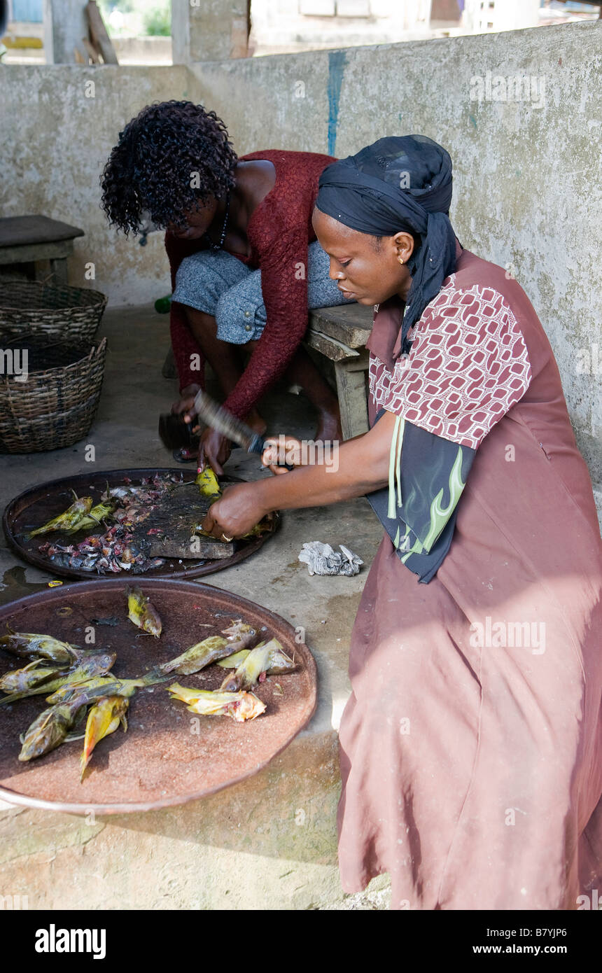 Deux femmes sont l'éviscération et la préparation du poisson jaune à un marché de poissons local au Nigeria Banque D'Images