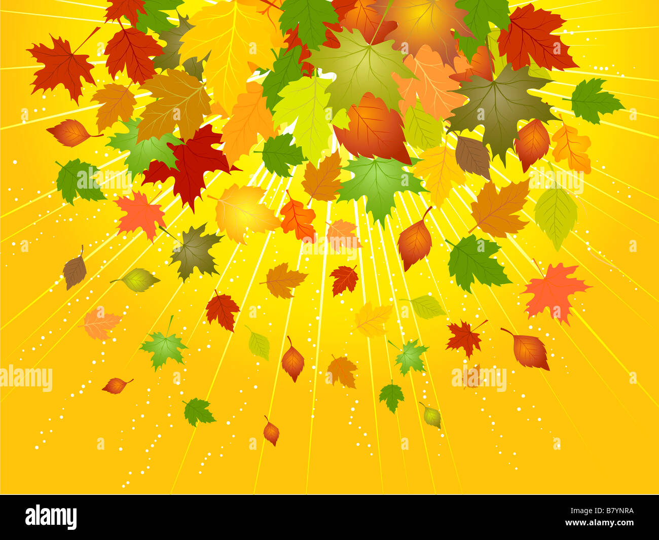 Contexte de baisse les feuilles d'automne Banque D'Images