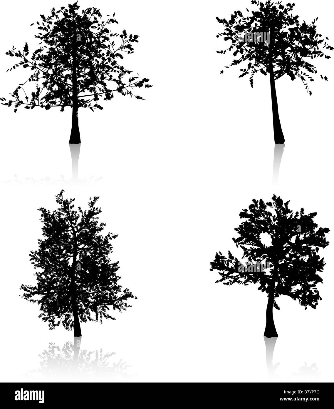 Les arbres d'automne silhouettes Banque D'Images