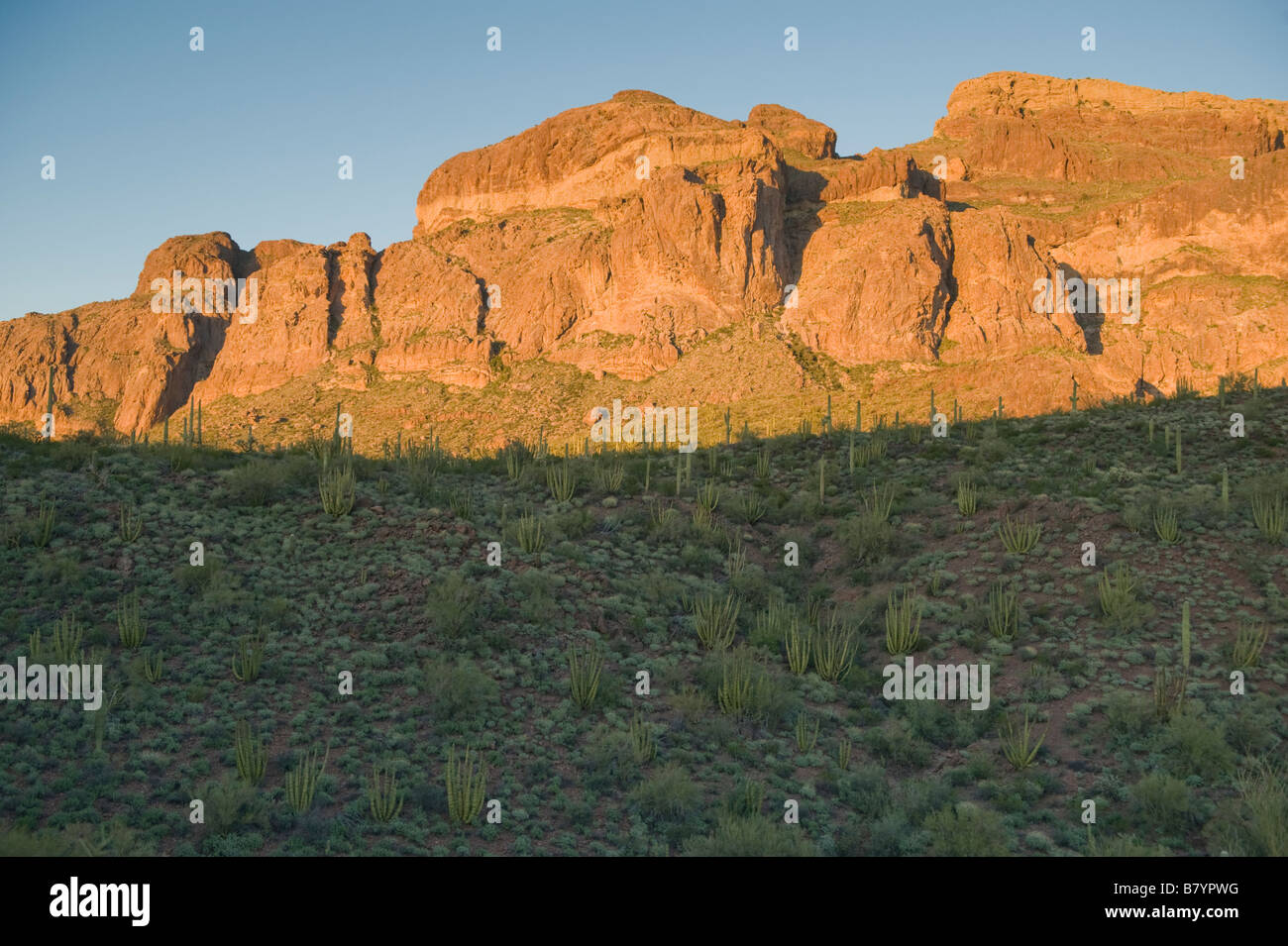 Ajo Mountain Loop, Coucher du soleil, de l'Organe National Monument, Arizona tuyau Banque D'Images