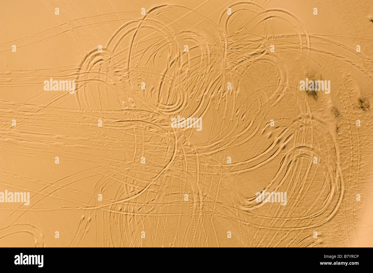 Véhicule hors route VTT Pistes, dunes, Imperial Imperial Valley, California Banque D'Images