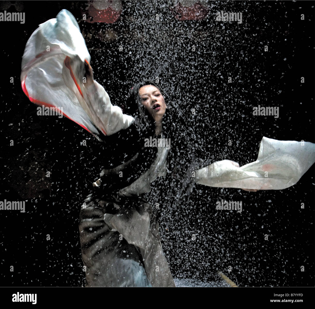 Mémoires d'une geisha Mémoires d'une Geisha Année : 2005 USA Ziyi Zhang Réalisateur : Rob Marshall Banque D'Images