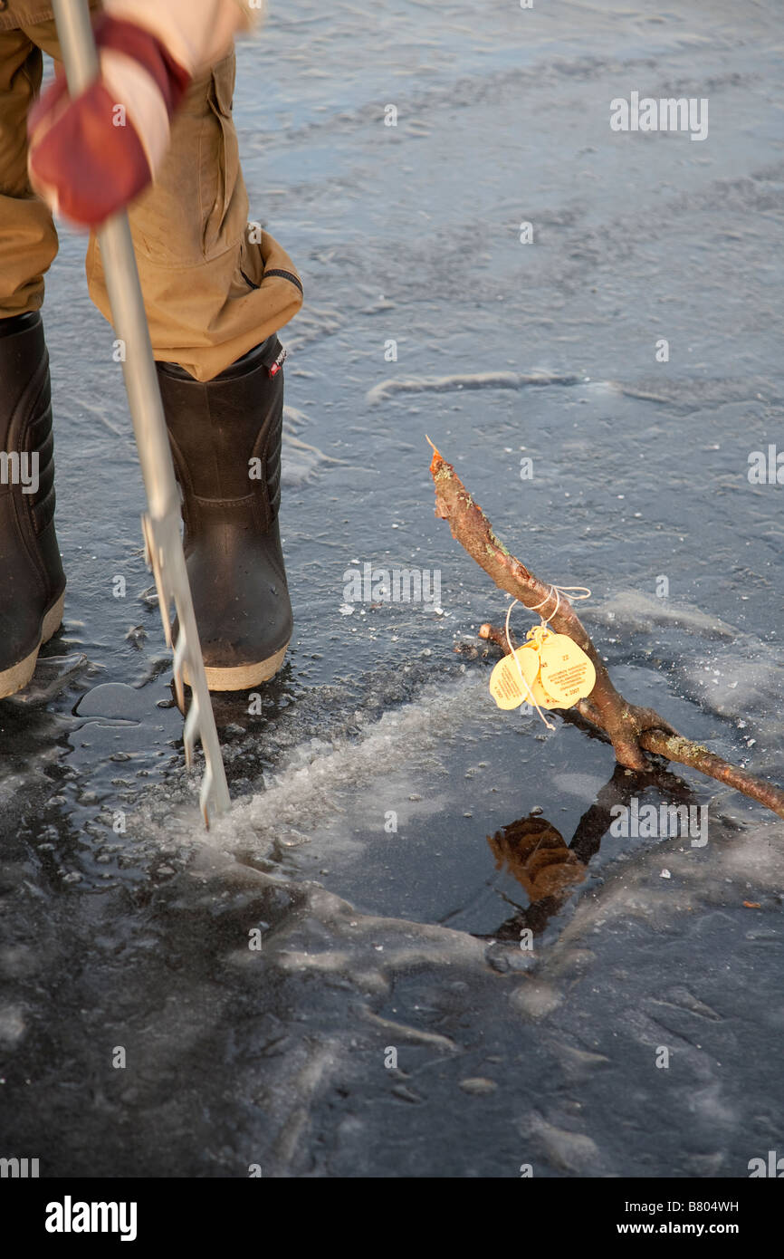 Scier le trou dans la glace pour les filets de pêche , à l'aide d'une scie à glace à main . Vérification des filets de pêche en hiver. , Finlande Banque D'Images