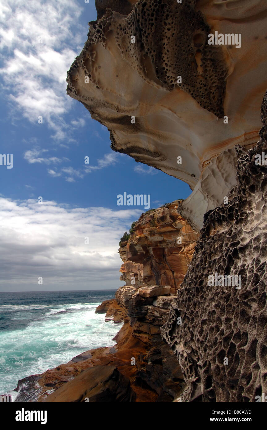 L'érosion de grès côtiers le long des falaises près de Bronte Sydney NSW Australie Banque D'Images