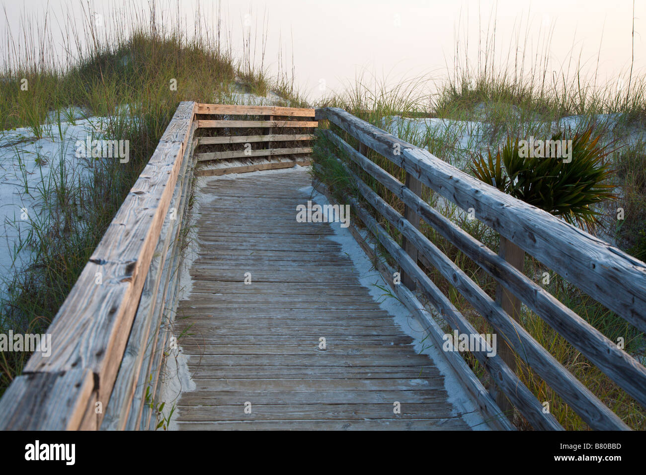 Promenade en bois prend des gens à travers les dunes de la plage à St Joseph Peninsula State Park à Port St Joe Florida Banque D'Images