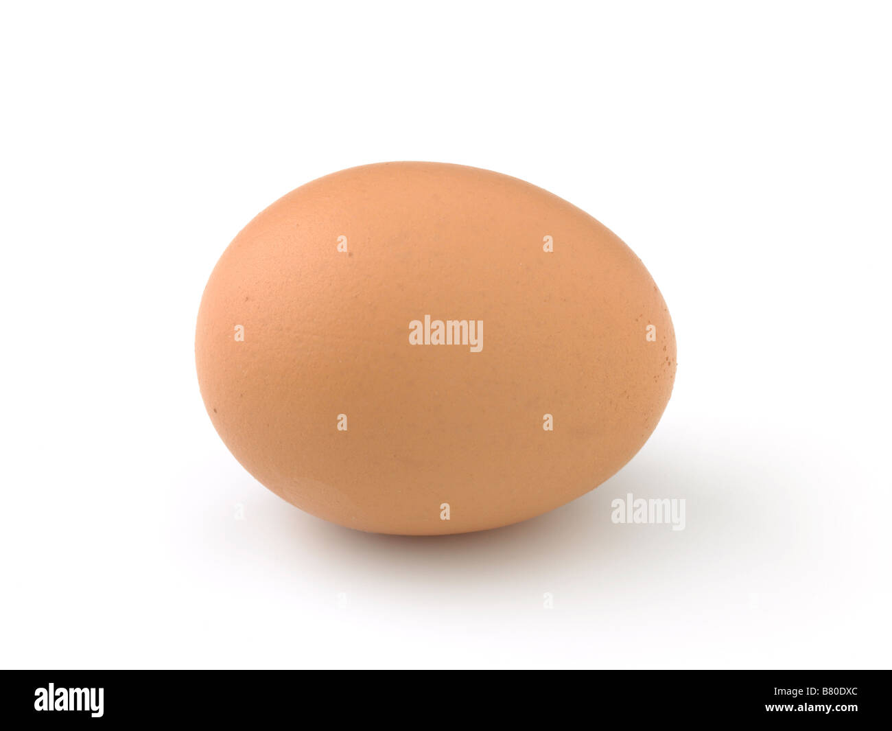 oeuf Banque D'Images