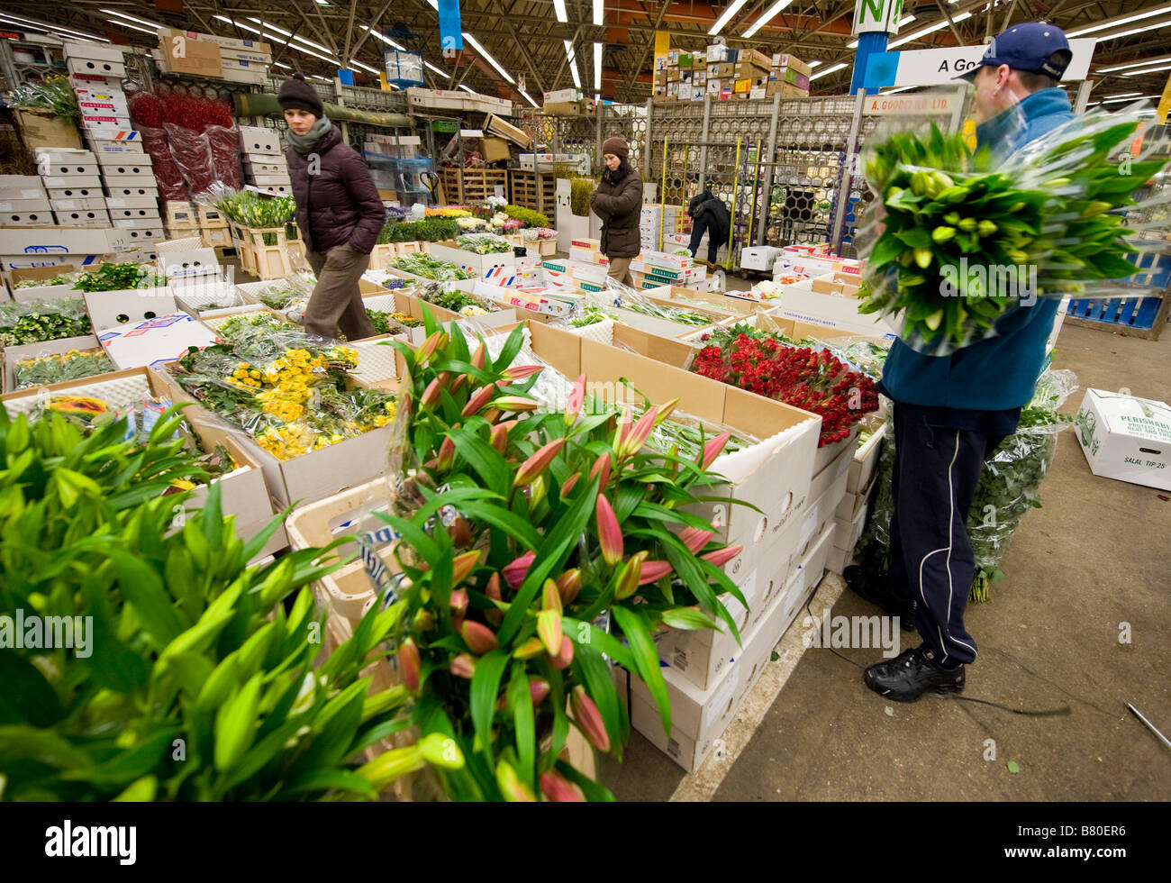 Un homme regarde à travers une sélection de fleurs au London's New Covent Garden Flower Market Londres Royaume-Uni. Banque D'Images