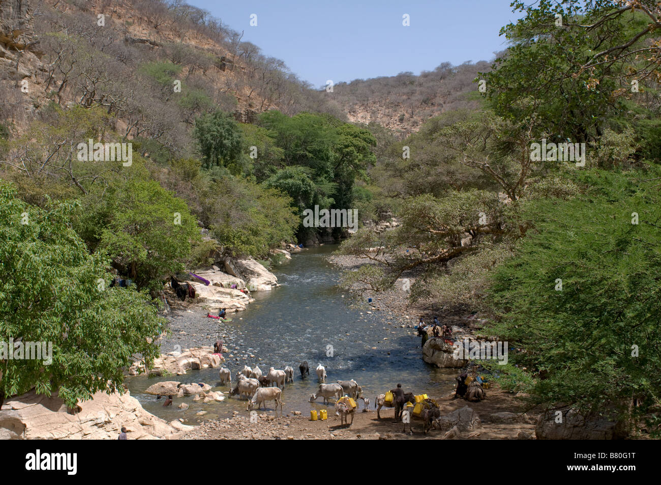 L'entrée du plus grand système de grottes en Afrique Afrique Éthiopie Sof Omar Banque D'Images