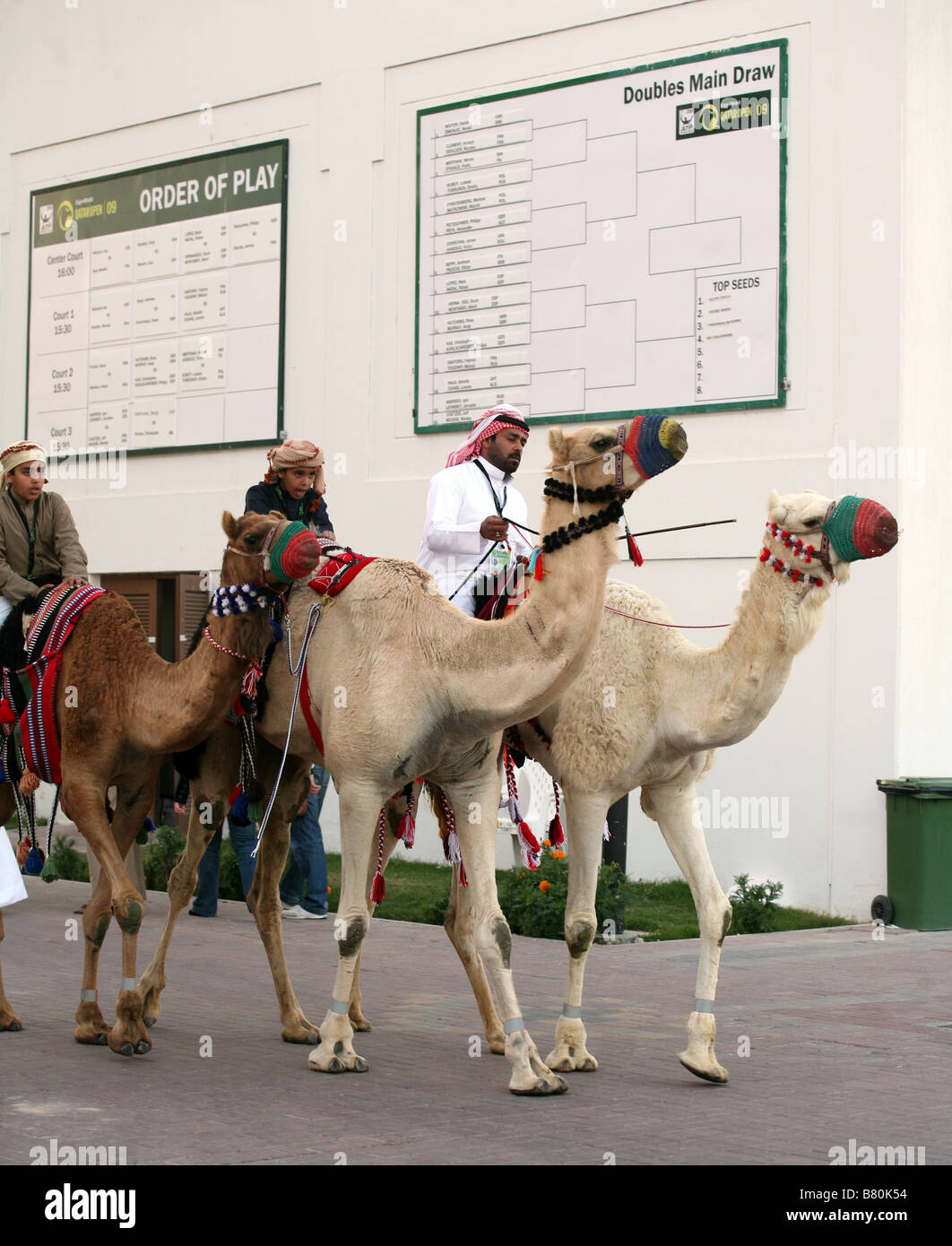 Une famille bédouine pose sur dos de chameau en face de l'ordre de jouer les conseils au Qatar ExxonMobil Open de tennis à Doha Banque D'Images