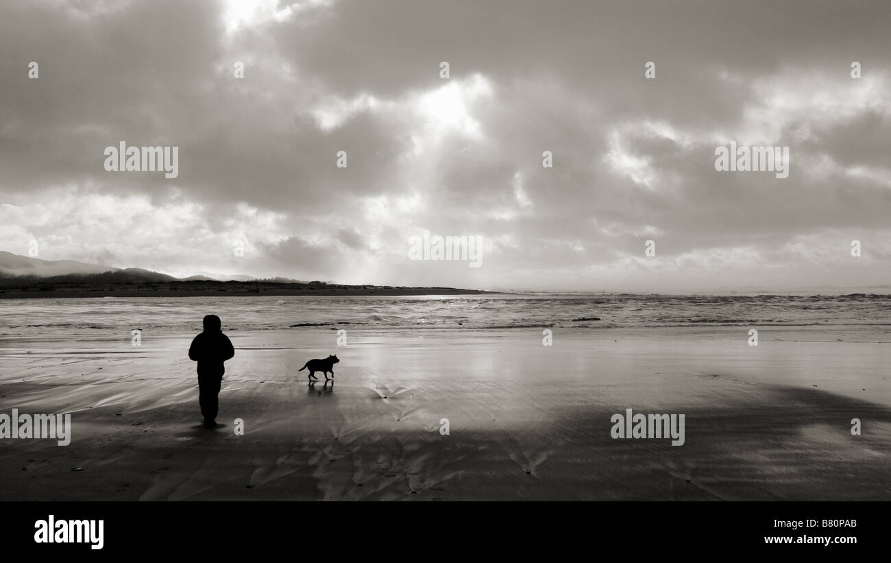 Un homme à pied son chien sur une plage de l'Oregon avec son chien au coucher du soleil. Lincoln City, Oregon, USA. Banque D'Images