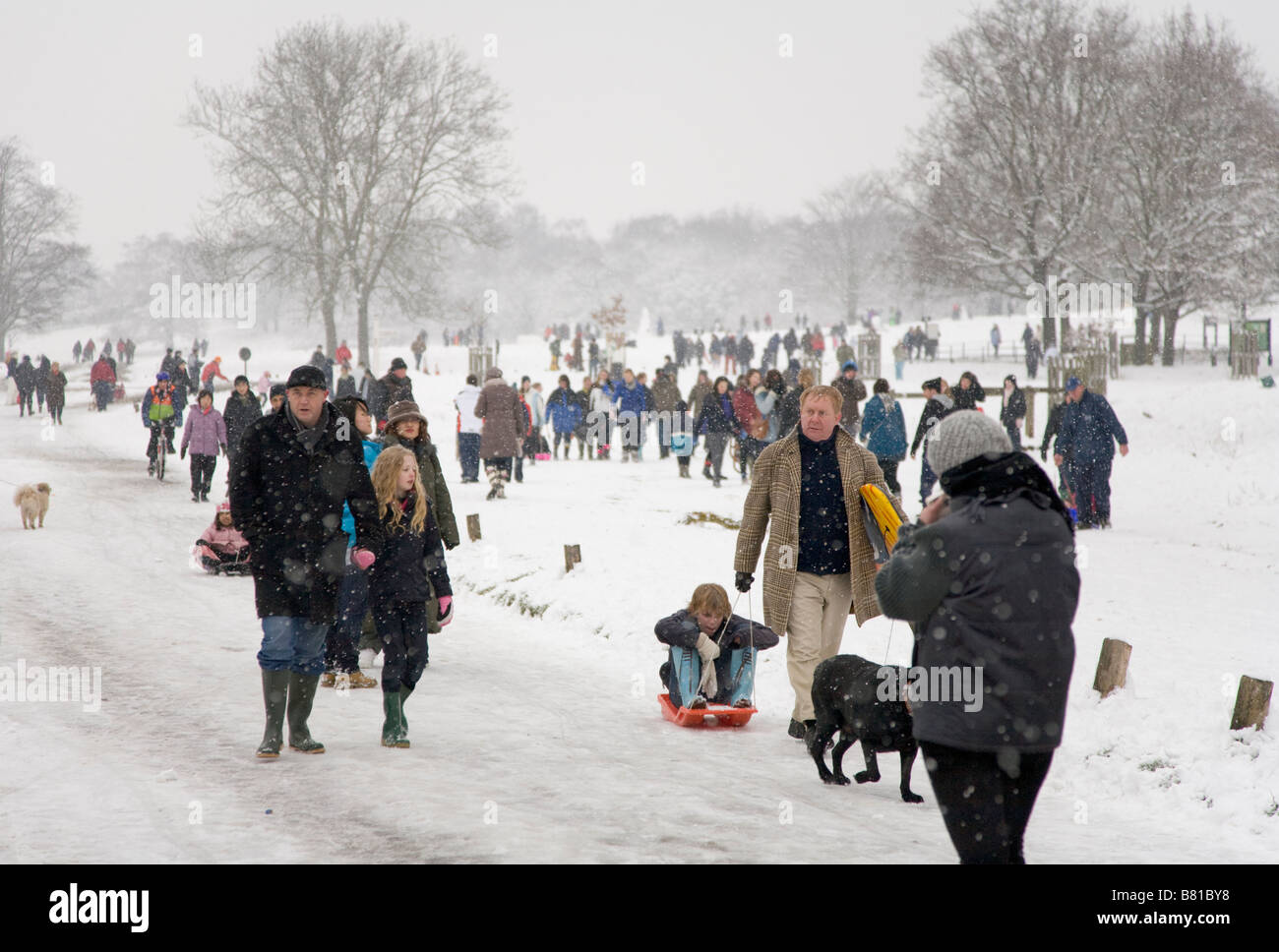 Les foules à Richmond Park, au cours de la neige en hiver de 2009 Banque D'Images