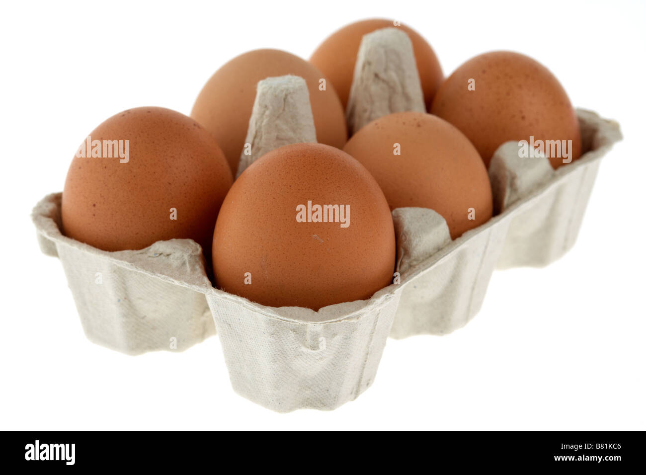 Six demi-douzaine d'oeufs de poules en libre parcours dans une boîte à œufs en carton recyclé Banque D'Images Six demi-douzaine d'oeufs de poules en libre parcours dans une boîte à œufs en carton recyclé Banque D'Images